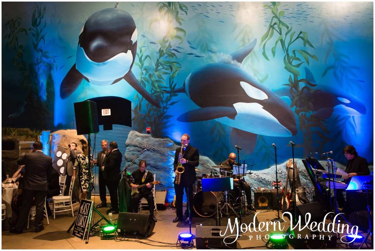 Atlantis Banquets and Events-Long Island Aquarium Wedding Riverhead